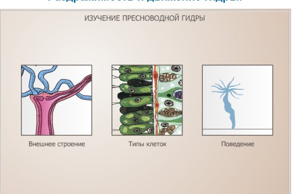 Кракен порошок