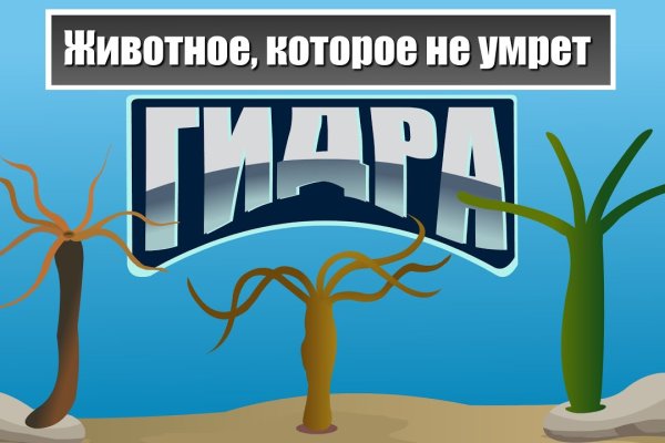 Kraken at сайт
