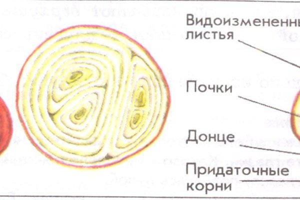 Кракен маркетплейс работает